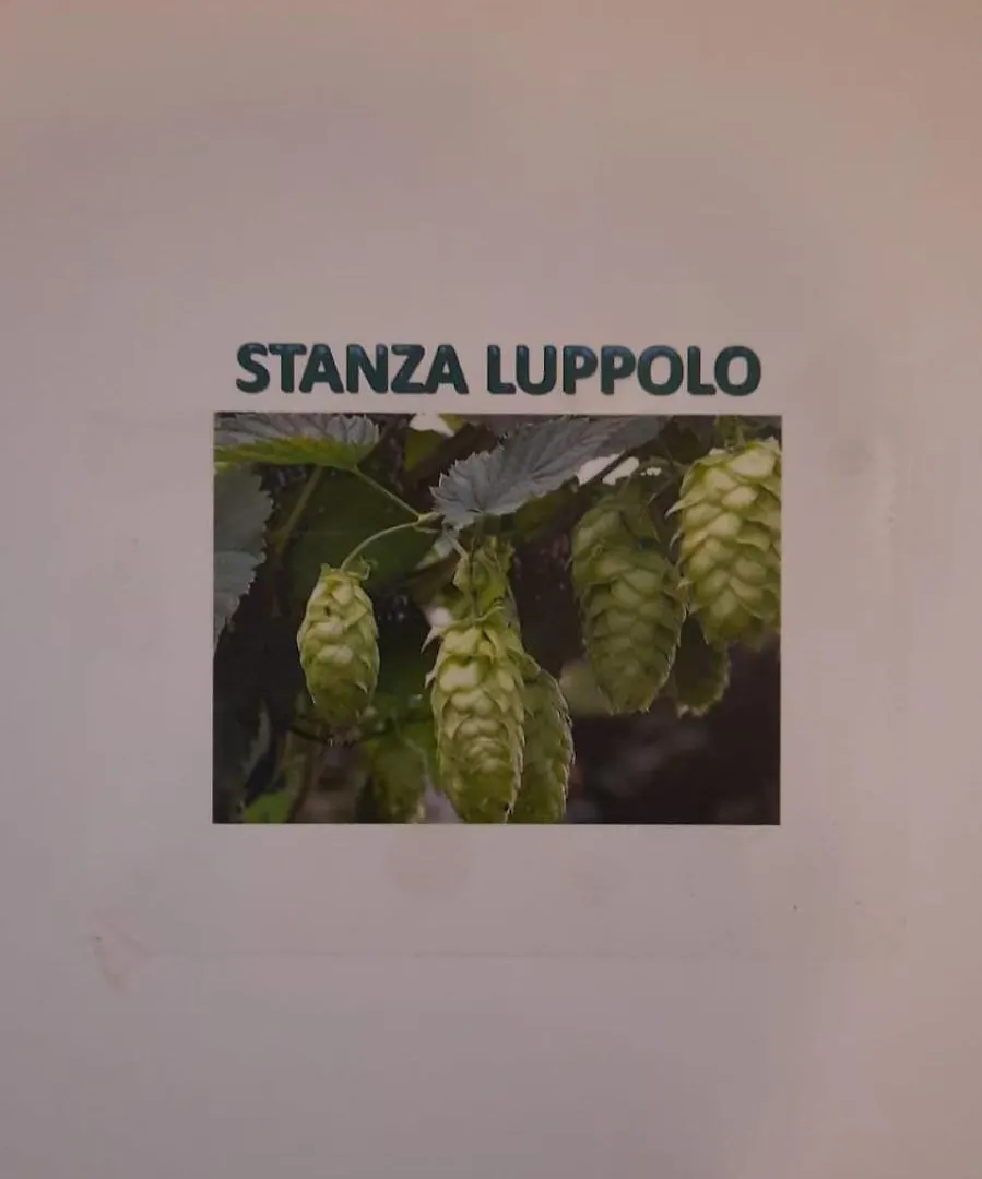 Corte Della Birra - Oldo Cadelbosco di Sopra 0*,  Italië
